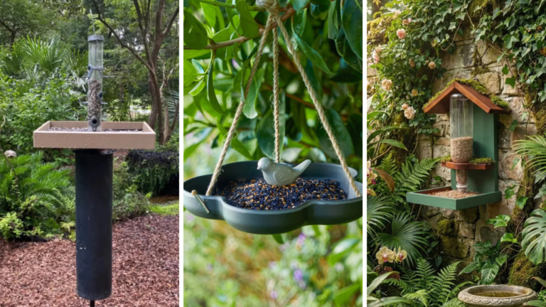 27 DIY Bird Feeder Ideas