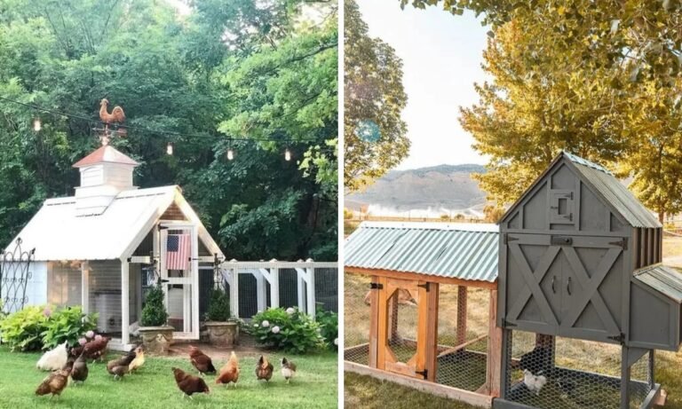 25 DIY Chicken Coop Ideas